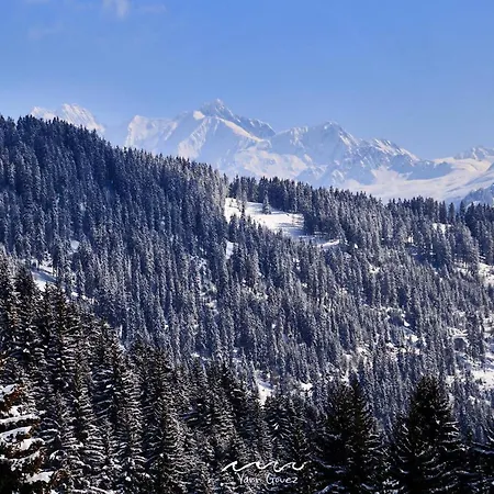 - La Perle Des Alpes 아파트