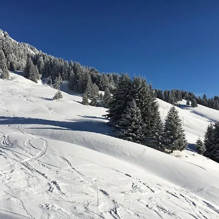 아파트 - La Perle Des Alpes